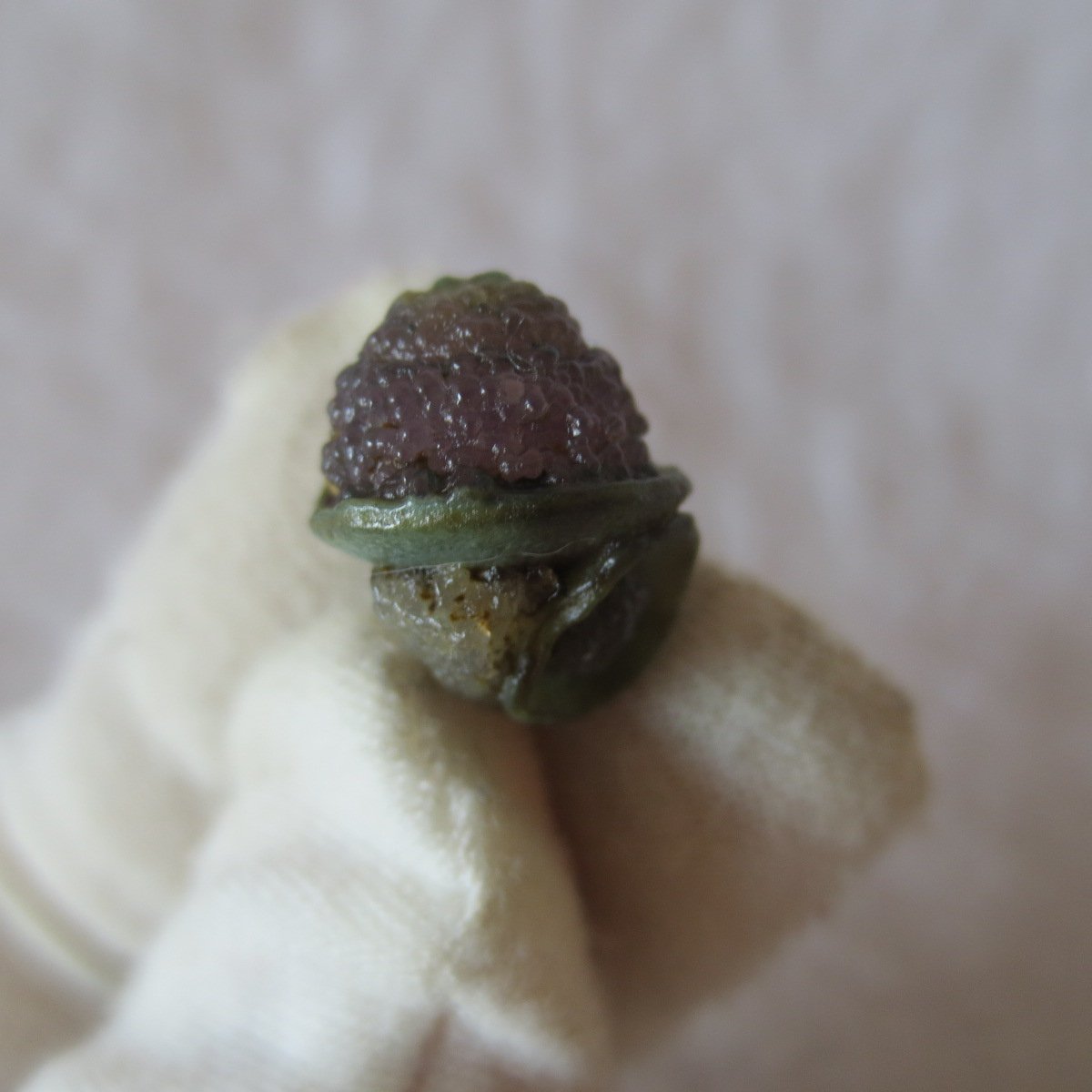 tiny gobi desert eye agate natural collectible rough stone specimen (m222)