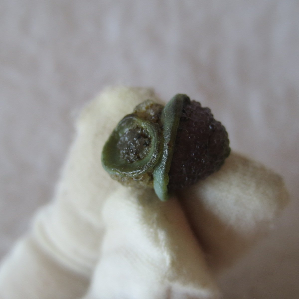 tiny gobi desert eye agate natural collectible rough stone specimen (m222)