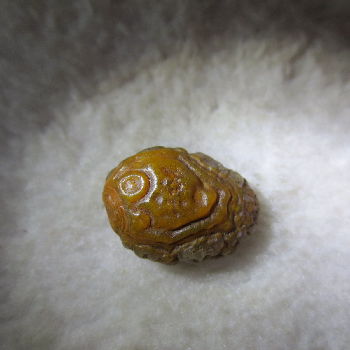tiny gobi desert eye agate natural collectible rough stone specimen (m222) (copy)