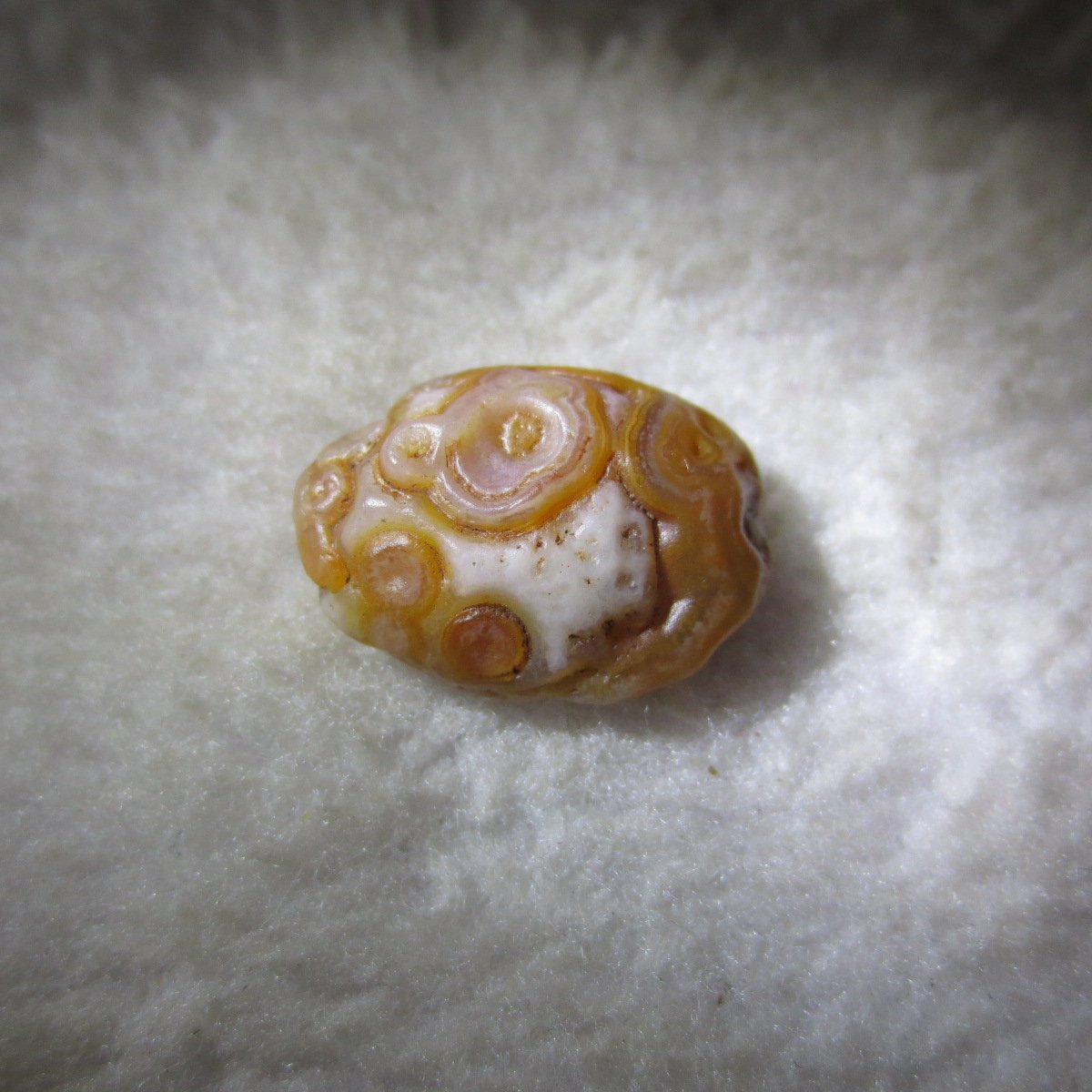 tiny gobi desert eye agate natural collectible rough stone specimen (m224)