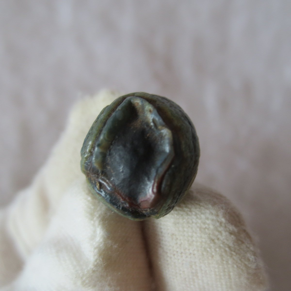 tiny gobi desert eye agate natural collectible rough stone specimen (m226)