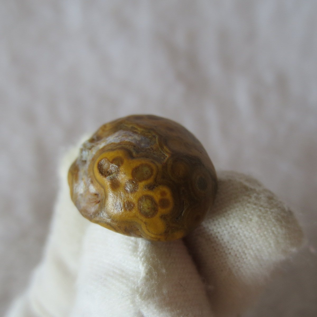 tiny gobi desert eye agate natural collectible rough stone specimen (m225) (copy)