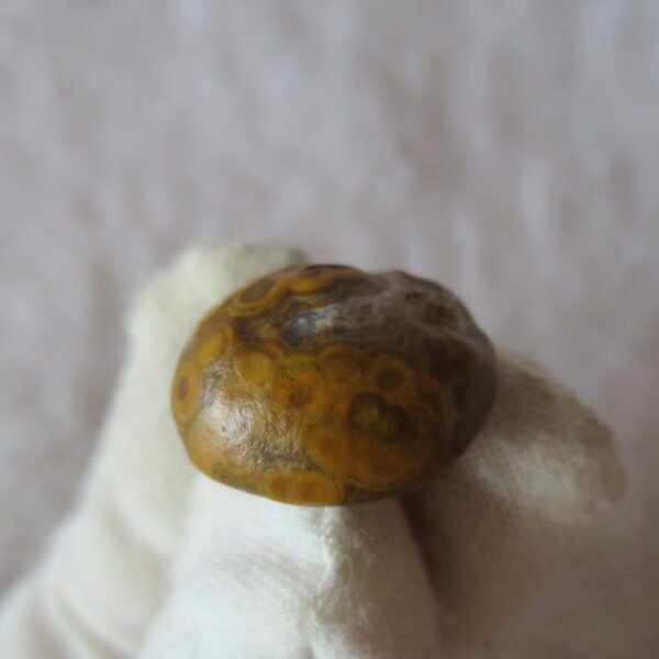 tiny gobi desert eye agate natural collectible rough stone specimen (m227)