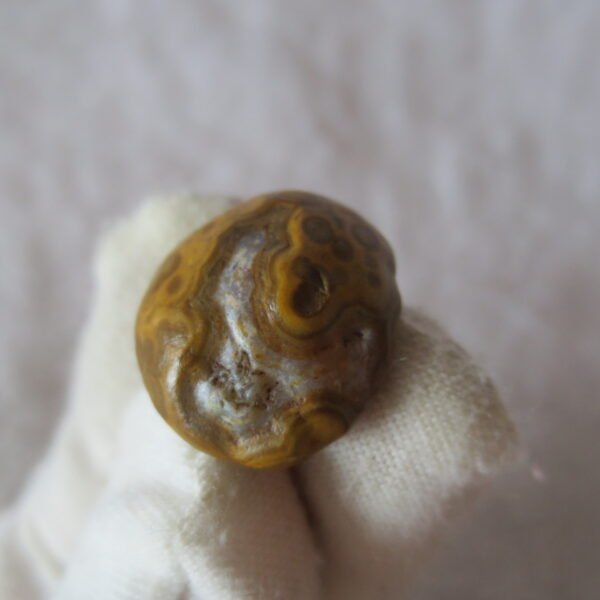 tiny gobi desert eye agate natural collectible rough stone specimen (m227)