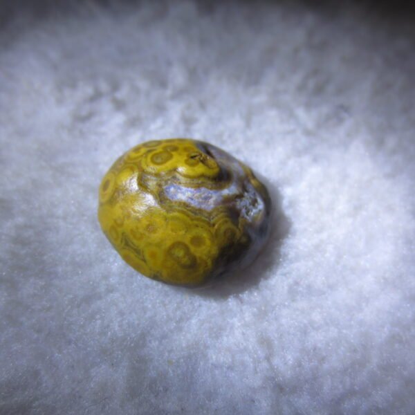 tiny gobi desert eye agate natural collectible rough stone specimen (m227)