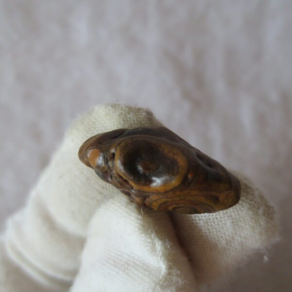 tiny gobi desert eye agate natural collectible rough stone specimen (m227) (copy)