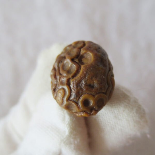tiny gobi desert eye agate natural collectible rough stone specimen (m229)