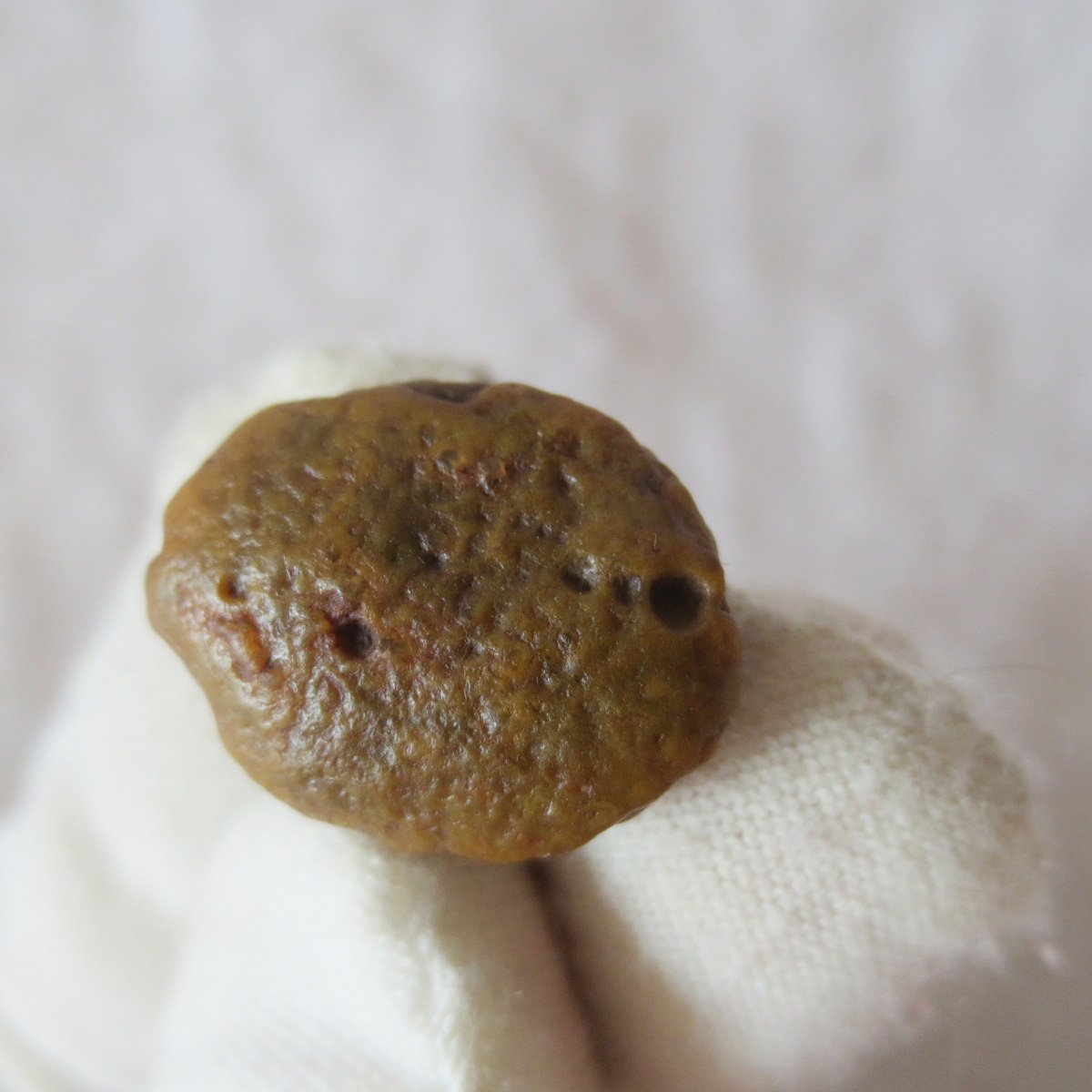 tiny gobi desert eye agate natural collectible rough stone specimen (m229)