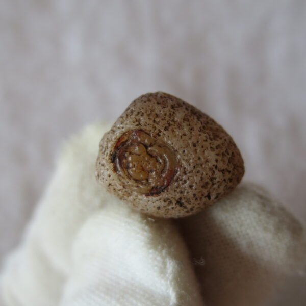 tiny gobi desert eye agate natural collectible rough stone specimen (m229) (copy)