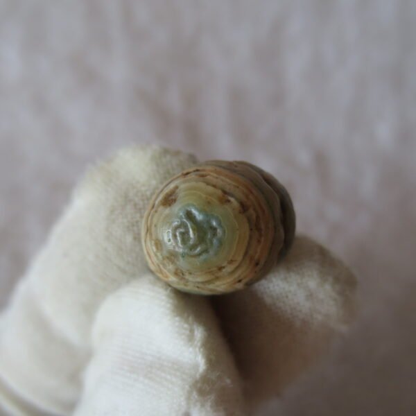 tiny gobi desert eye agate natural collectible rough stone specimen (m230) (copy) (copy)