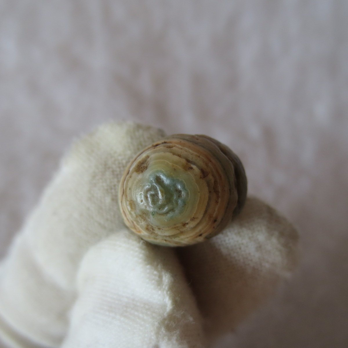 tiny gobi desert eye agate natural collectible rough stone specimen (m230) (copy) (copy)