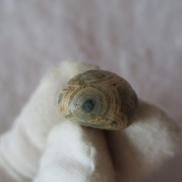 tiny gobi desert eye agate natural collectible rough stone specimen (m230) (copy) (copy)