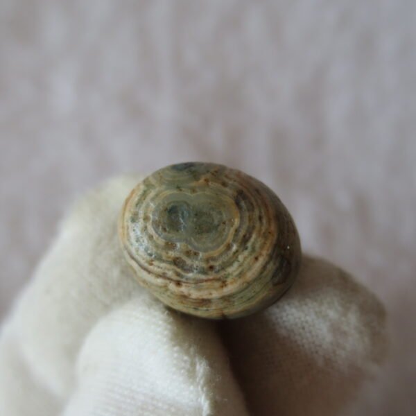 tiny gobi desert eye agate natural collectible rough stone specimen (m230) (copy) (copy)