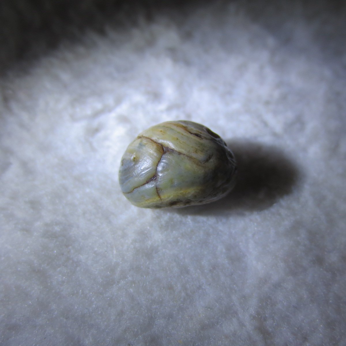 tiny gobi desert eye agate natural collectible rough stone specimen (m230) (copy) (copy)