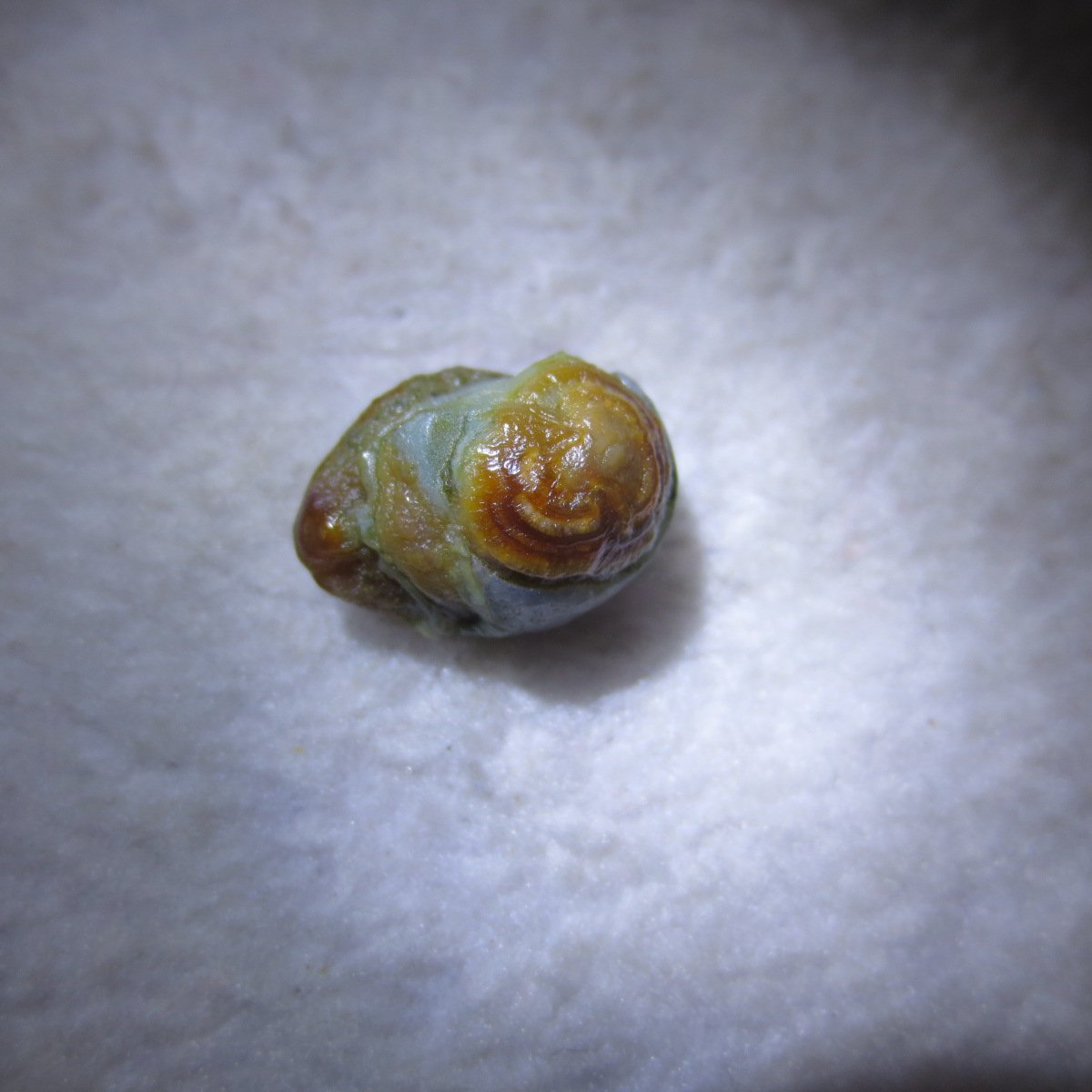 tiny gobi desert eye agate natural collectible rough stone specimen (m231) (copy)