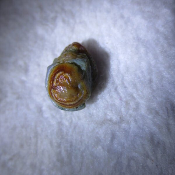 tiny gobi desert eye agate natural collectible rough stone specimen (m231) (copy)