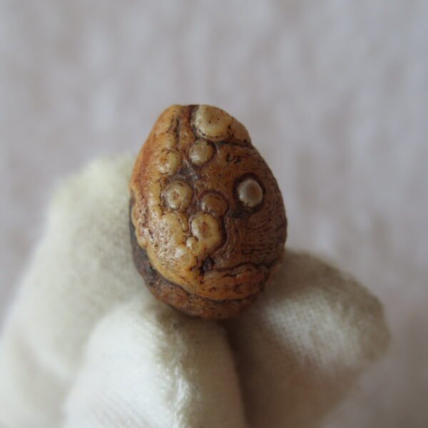 tiny gobi desert eye agate natural collectible rough stone specimen (m233)