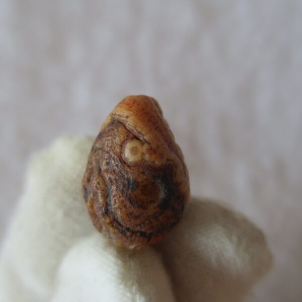 tiny gobi desert eye agate natural collectible rough stone specimen (m233)