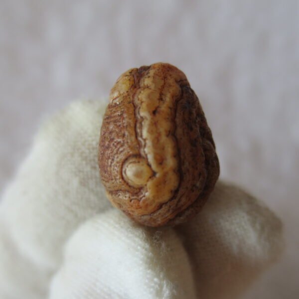 tiny gobi desert eye agate natural collectible rough stone specimen (m233)