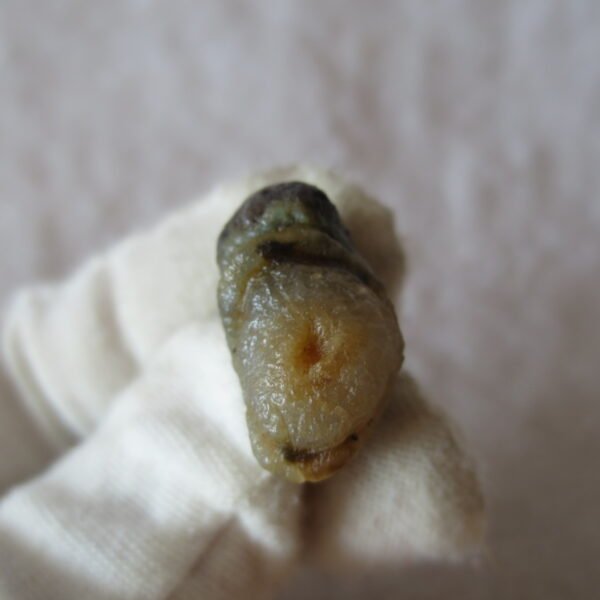 tiny gobi desert eye agate natural collectible rough stone specimen (m235)