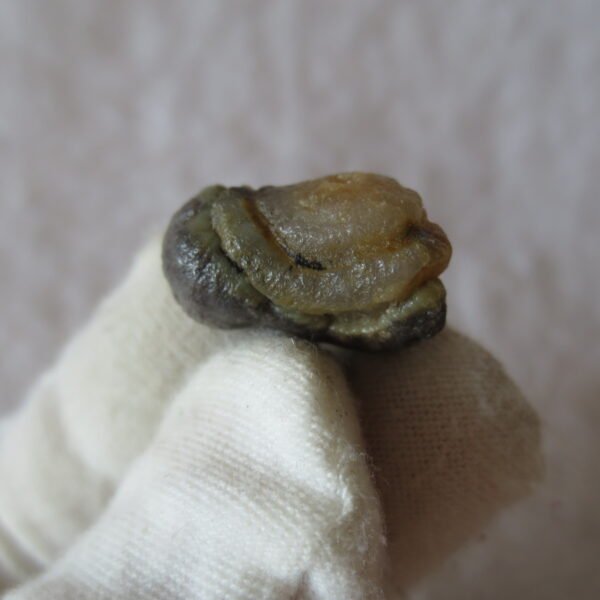 tiny gobi desert eye agate natural collectible rough stone specimen (m235)