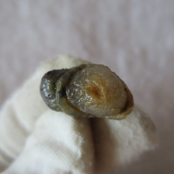 tiny gobi desert eye agate natural collectible rough stone specimen (m235)