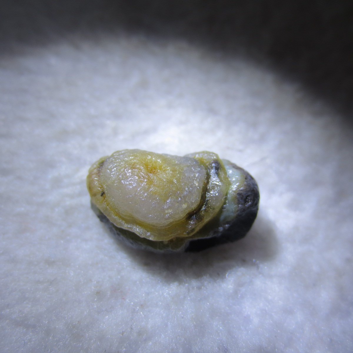 tiny gobi desert eye agate natural collectible rough stone specimen (m235)