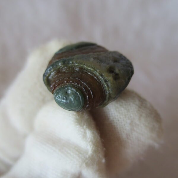 tiny gobi desert eye agate natural collectible rough stone specimen (m236)