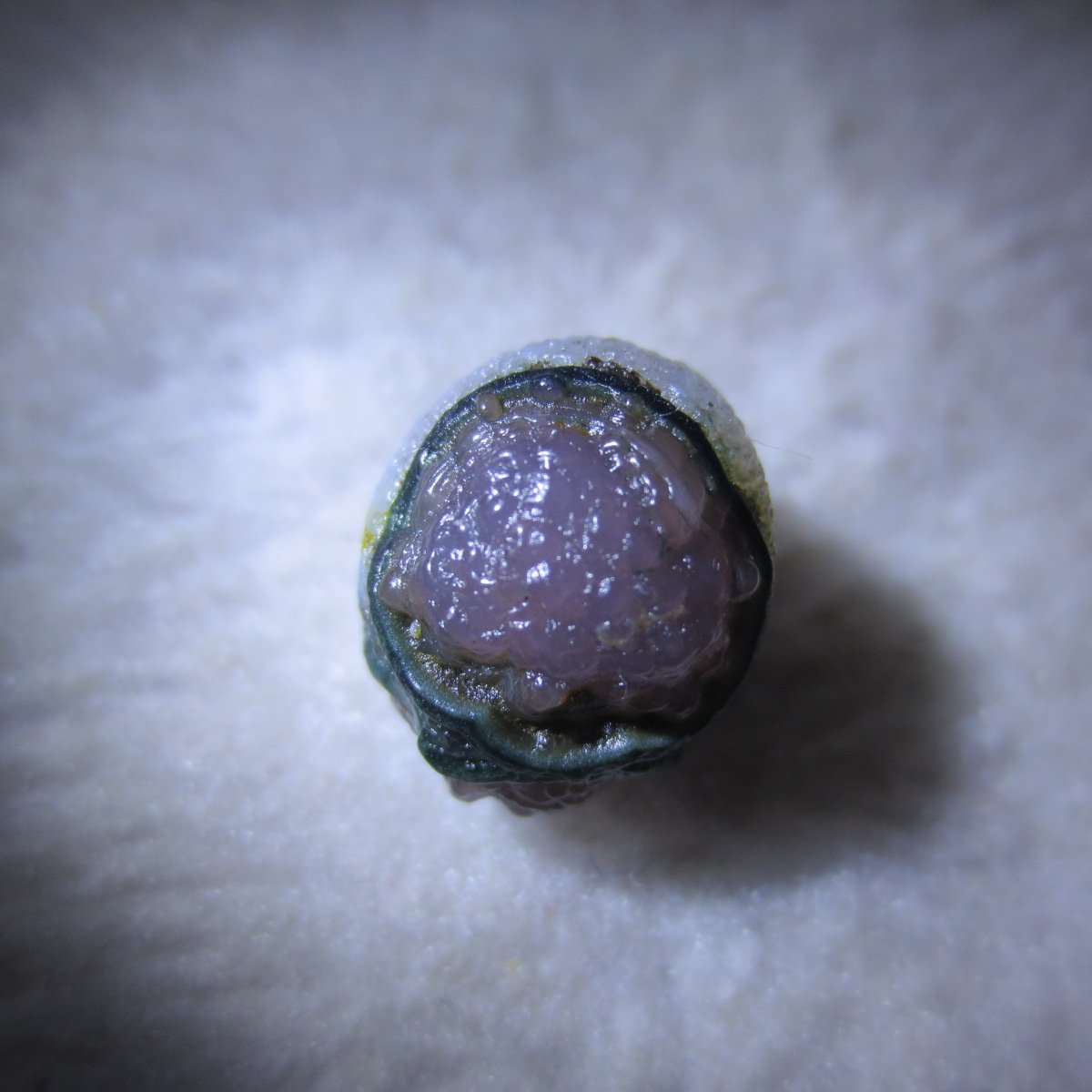 tiny gobi desert eye agate natural collectible rough stone specimen (m236) (copy)
