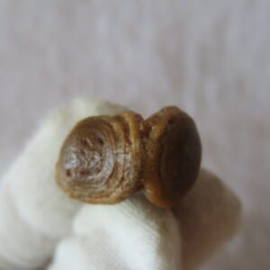 tiny gobi desert eye agate natural collectible rough stone specimen (m237) (copy)