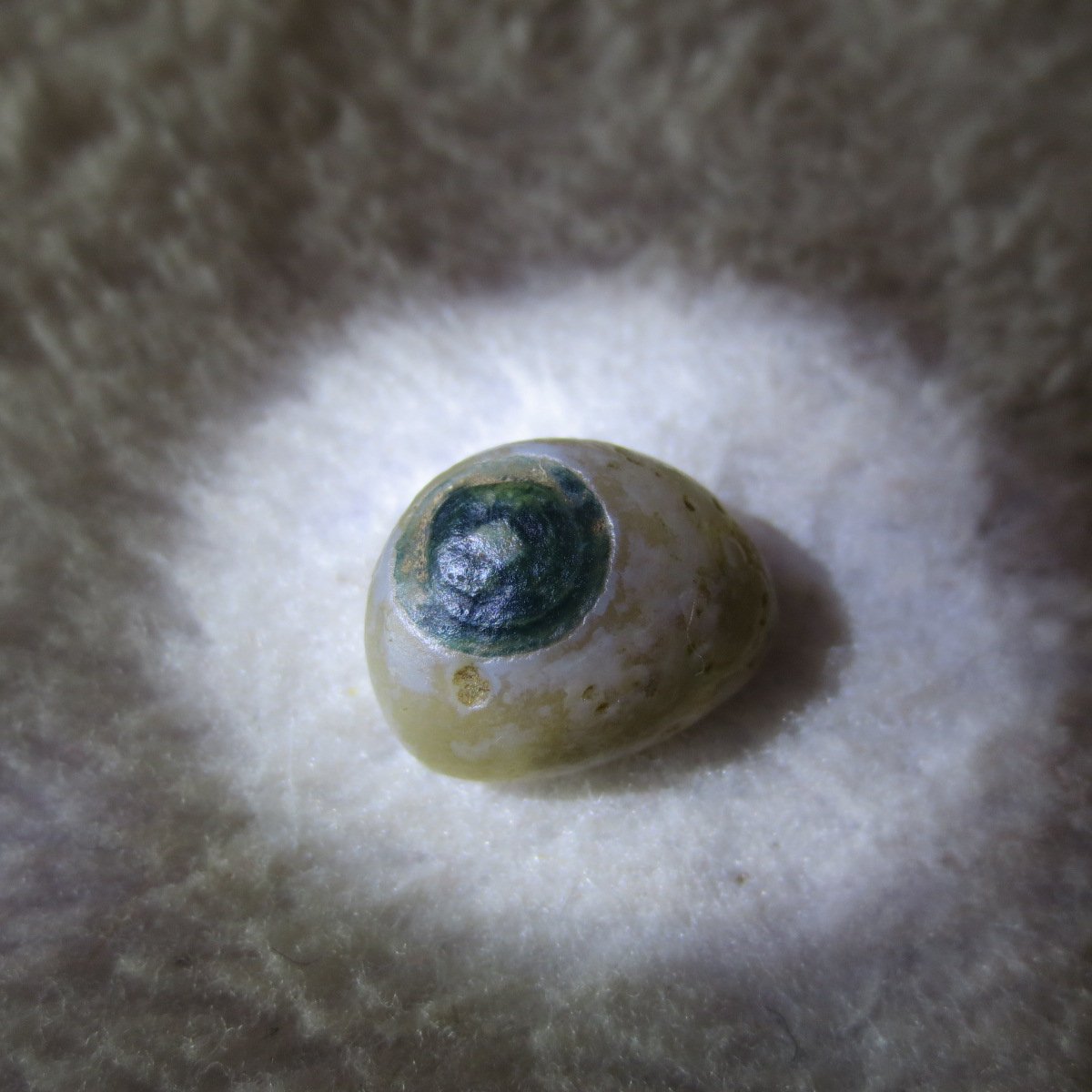 tiny gobi desert eye agate natural collectible rough stone specimen (m238) (copy)
