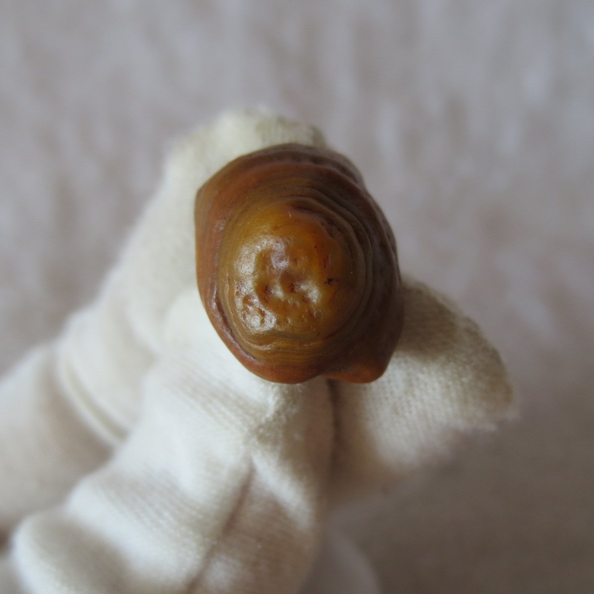 tiny gobi desert eye agate natural collectible rough stone specimen (m241)