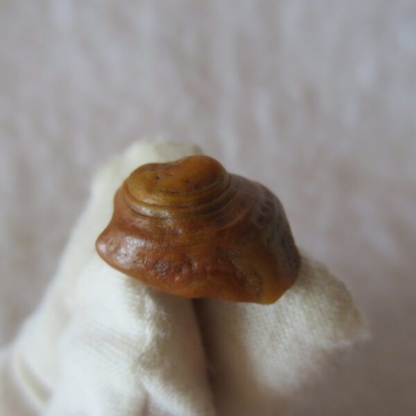 tiny gobi desert eye agate natural collectible rough stone specimen (m241)