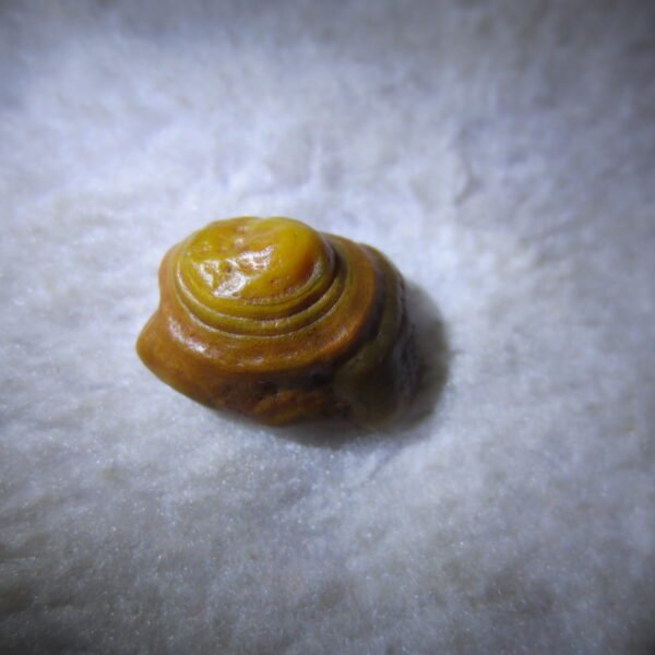 tiny gobi desert eye agate natural collectible rough stone specimen (m241)