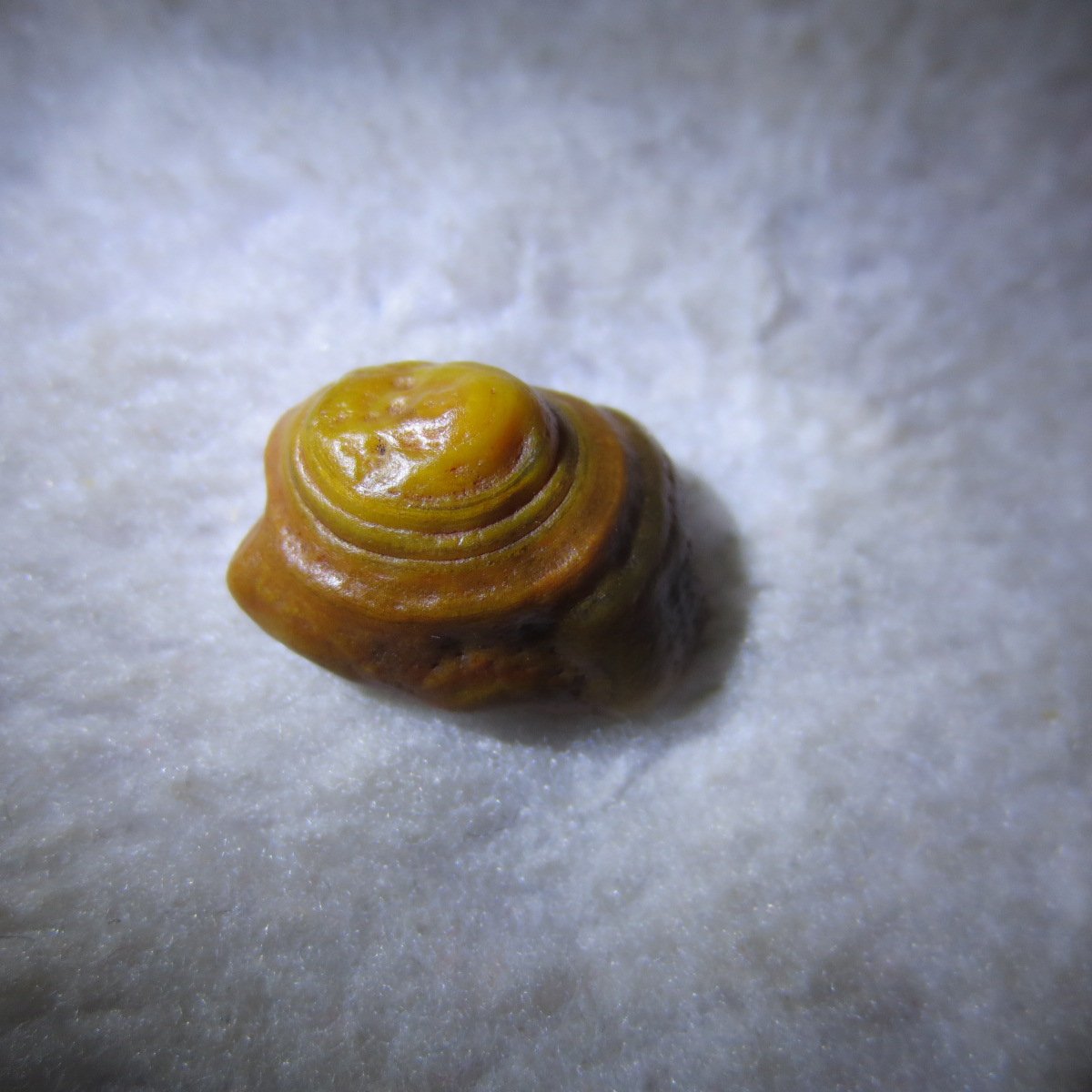 tiny gobi desert eye agate natural collectible rough stone specimen (m241)