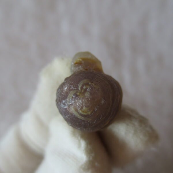 tiny gobi desert eye agate natural collectible rough stone specimen (m241) (copy)