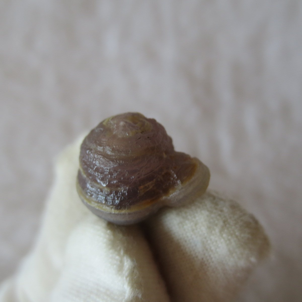 tiny gobi desert eye agate natural collectible rough stone specimen (m241) (copy)
