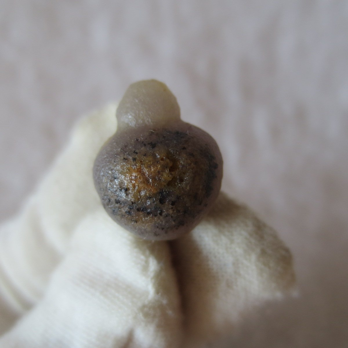 tiny gobi desert eye agate natural collectible rough stone specimen (m241) (copy)