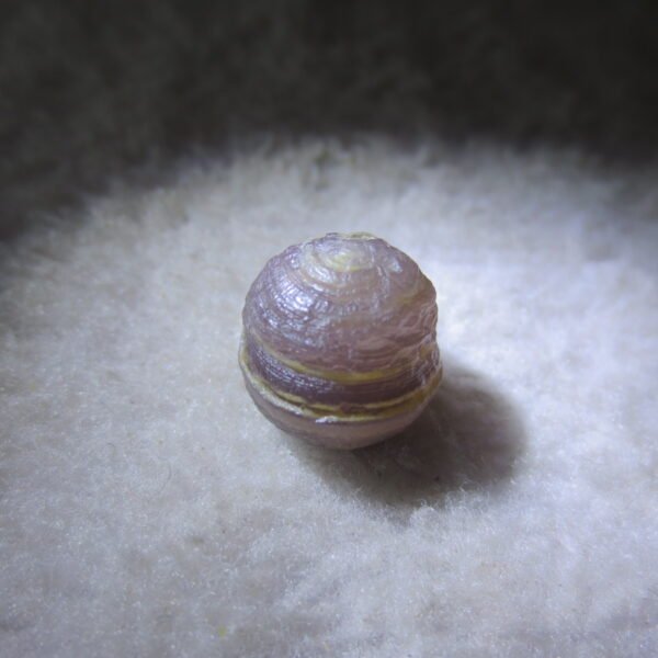 tiny gobi desert eye agate natural collectible rough stone specimen (m241) (copy)