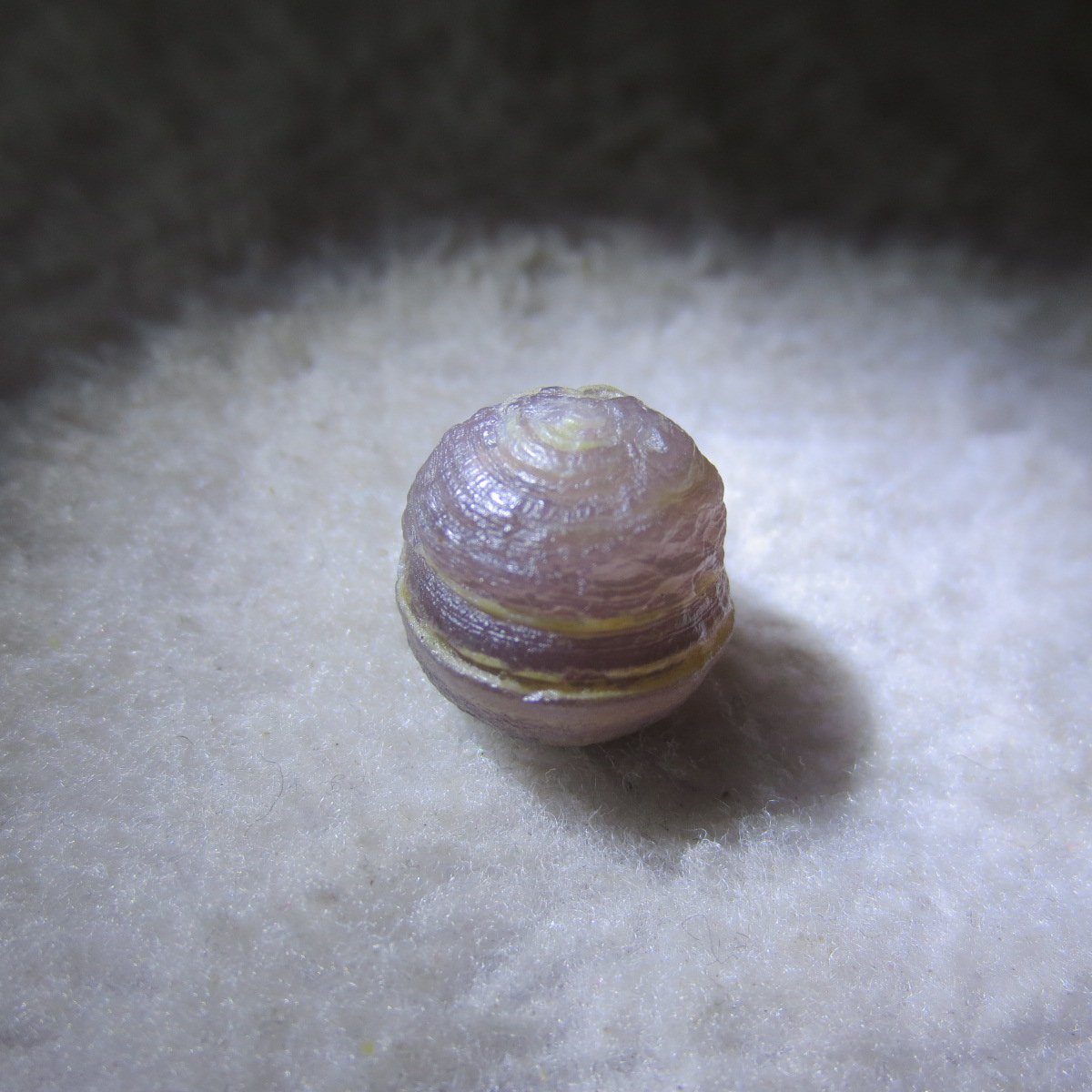 tiny gobi desert eye agate natural collectible rough stone specimen (m241) (copy)