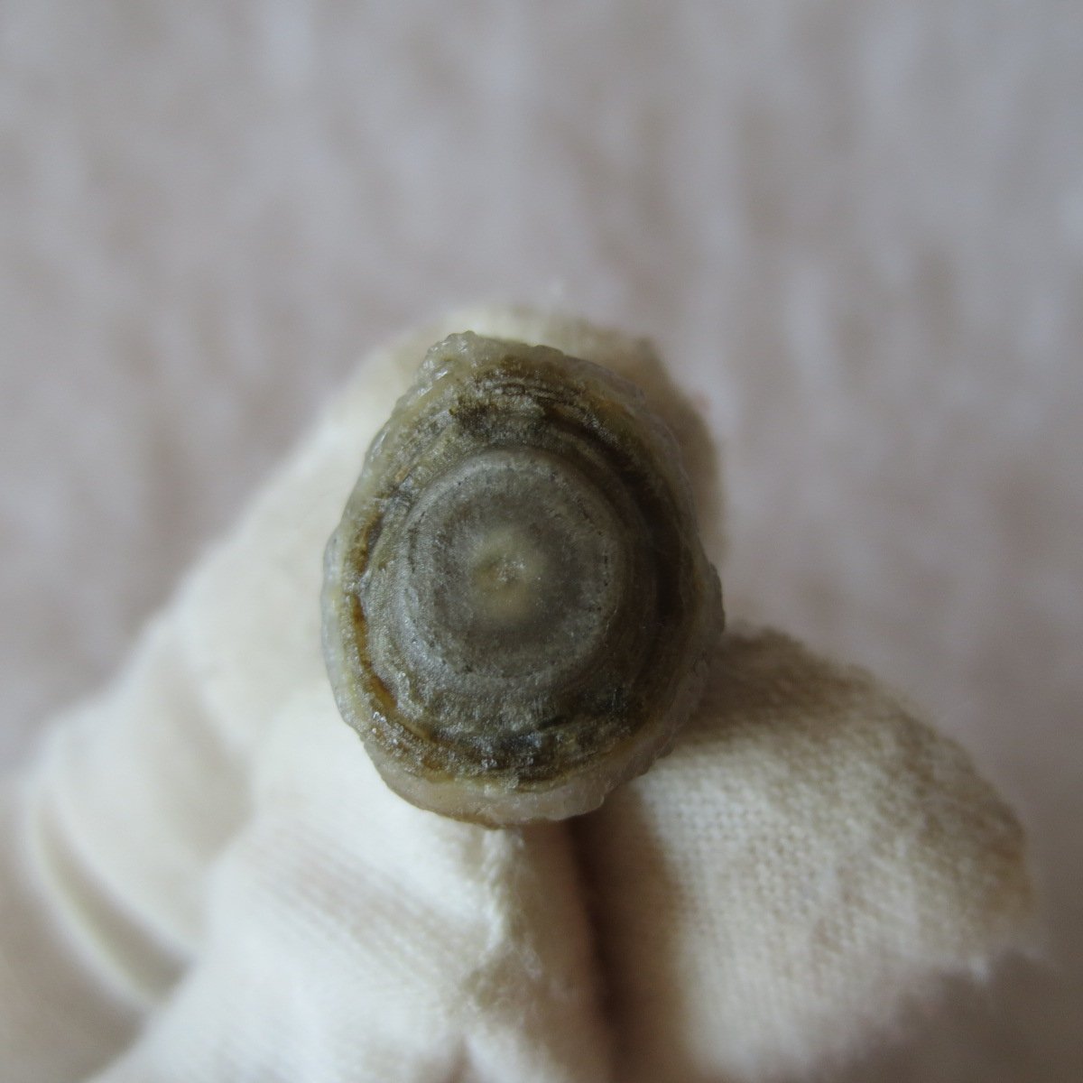 tiny gobi desert eye agate natural collectible rough stone specimen (m242) (copy)