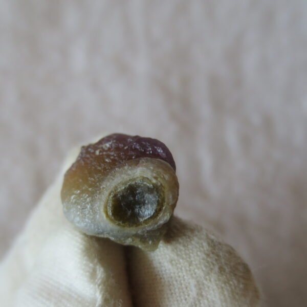 tiny gobi desert eye agate natural collectible rough stone specimen (m242) (copy)