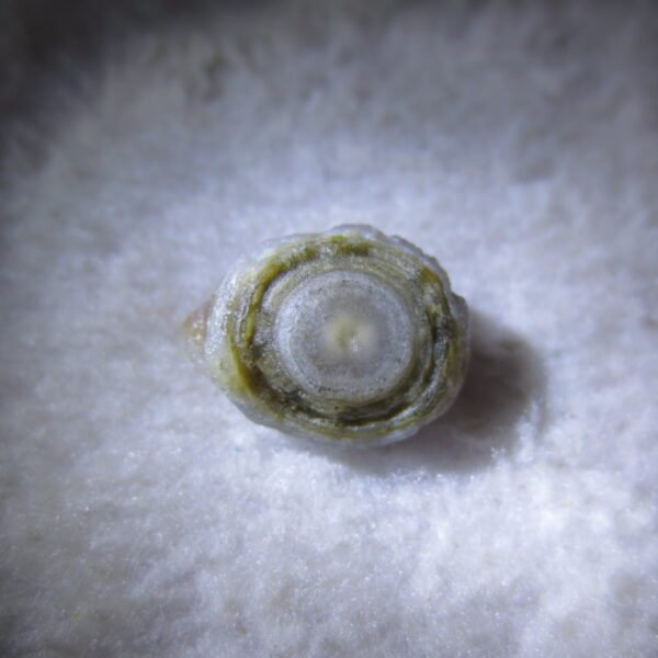 tiny gobi desert eye agate natural collectible rough stone specimen (m242) (copy)