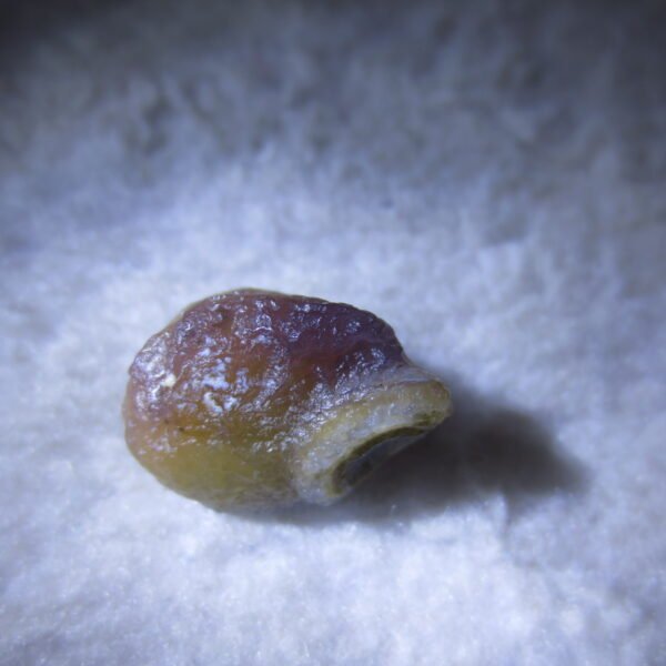 tiny gobi desert eye agate natural collectible rough stone specimen (m242) (copy)