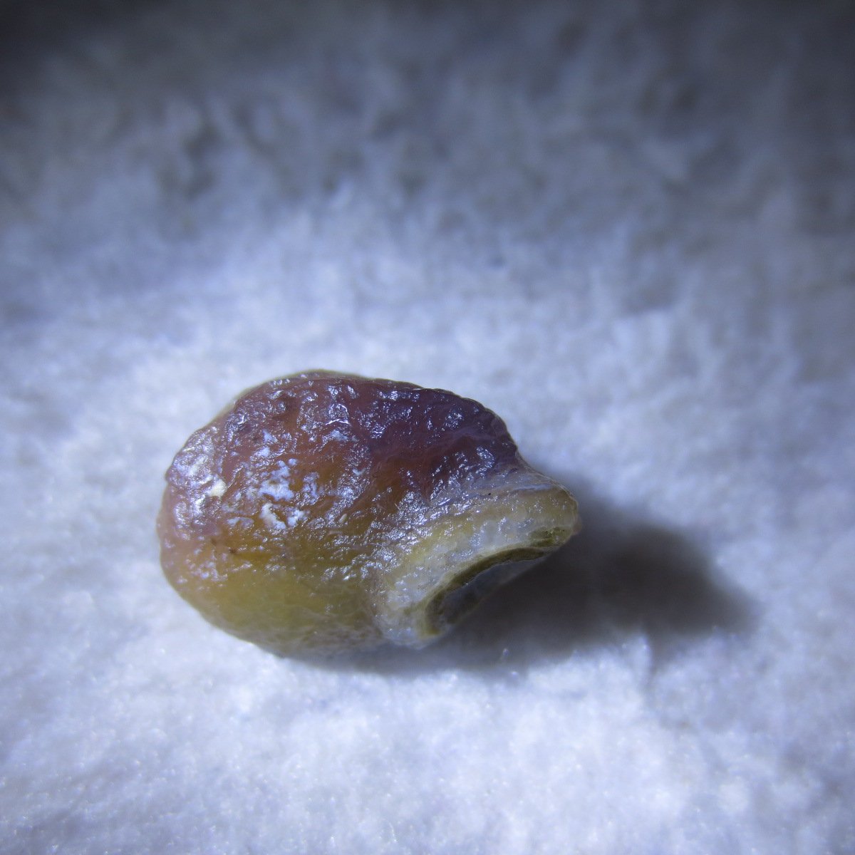 tiny gobi desert eye agate natural collectible rough stone specimen (m242) (copy)