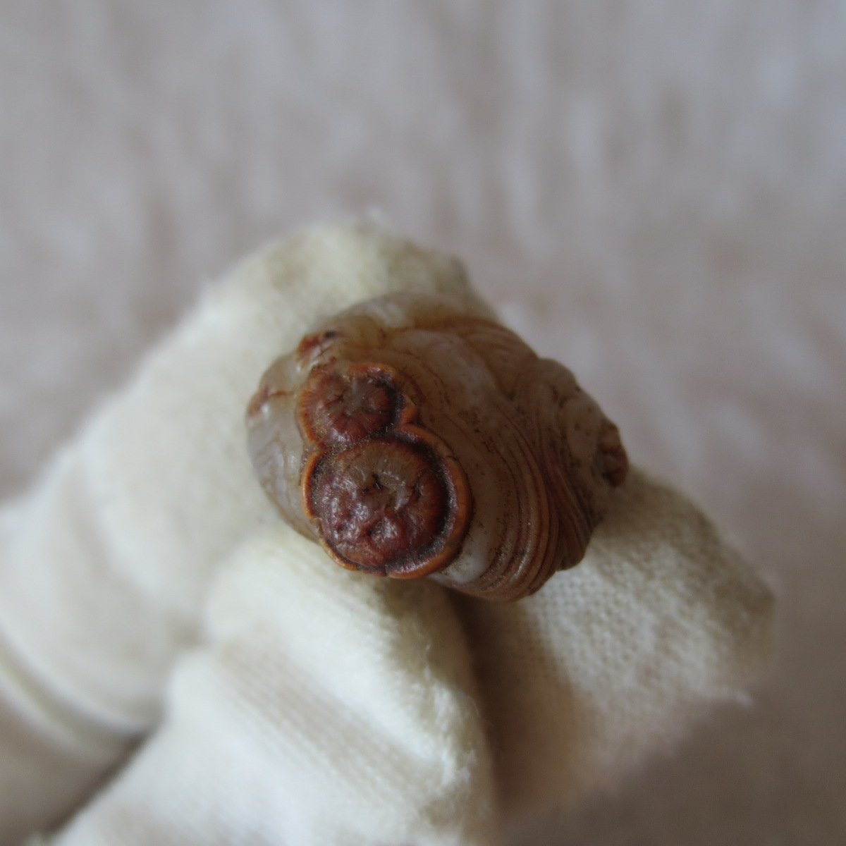 tiny gobi desert eye agate natural collectible rough stone specimen (m246)