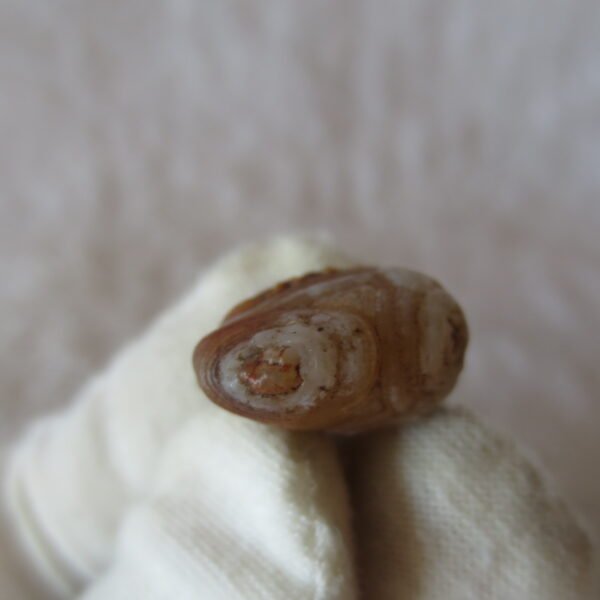 tiny gobi desert eye agate natural collectible rough stone specimen (m246)