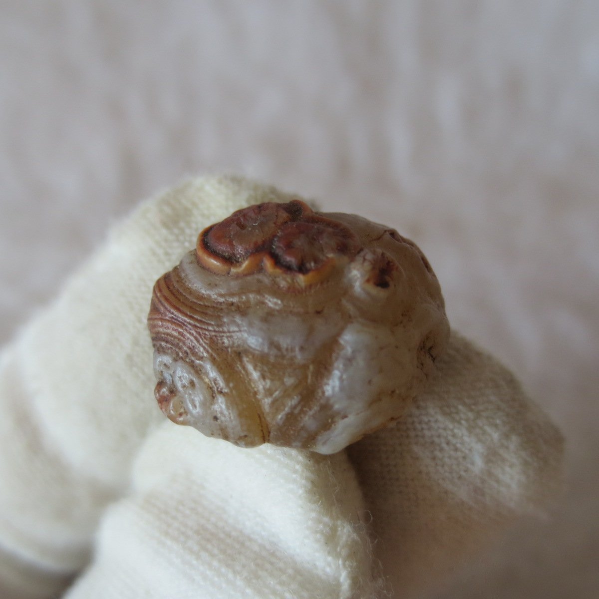 tiny gobi desert eye agate natural collectible rough stone specimen (m246)