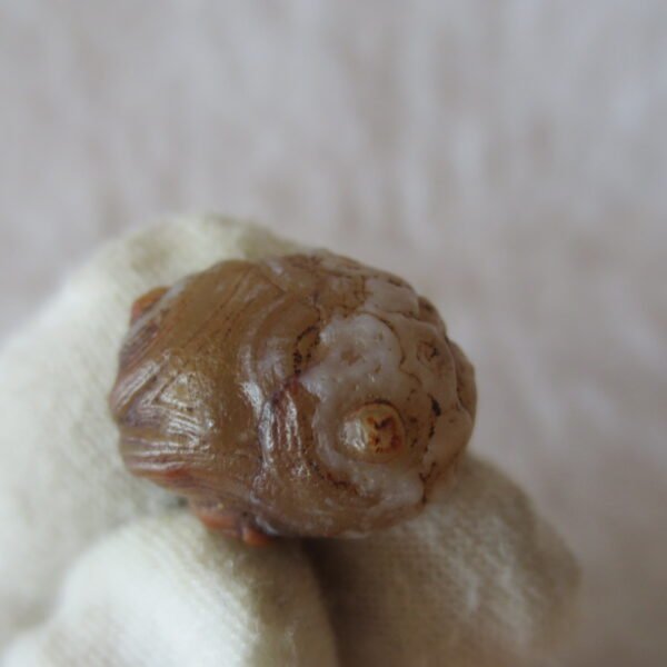 tiny gobi desert eye agate natural collectible rough stone specimen (m246)