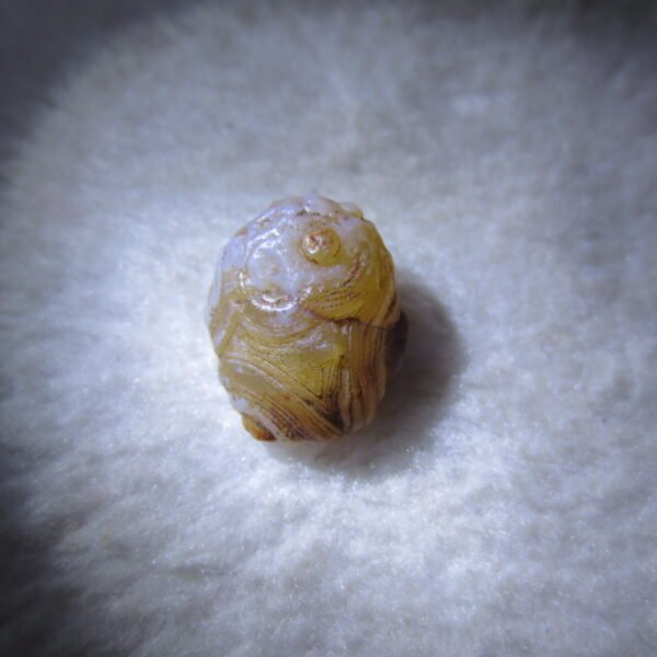 tiny gobi desert eye agate natural collectible rough stone specimen (m246)